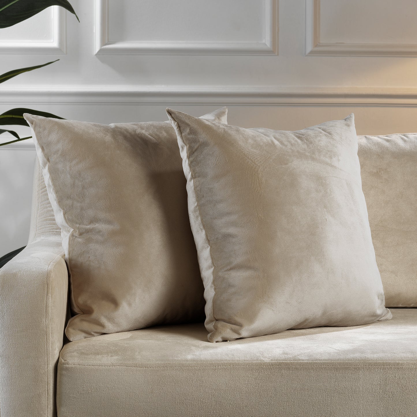 Matte velvet cushion covers, matte velvet pillow covers, hidden zipper cushion covers, velvet throw pillow covers, decorative cushion covers, luxury pillow covers, soft velvet cushion covers, sofa pillow covers, couch cushion covers, bedroom pillow covers, living room décor, modern home décor, square cushion covers, custom cushion covers, accent pillow covers, velvet home accessories, elegant pillow covers, decorative throw pillows