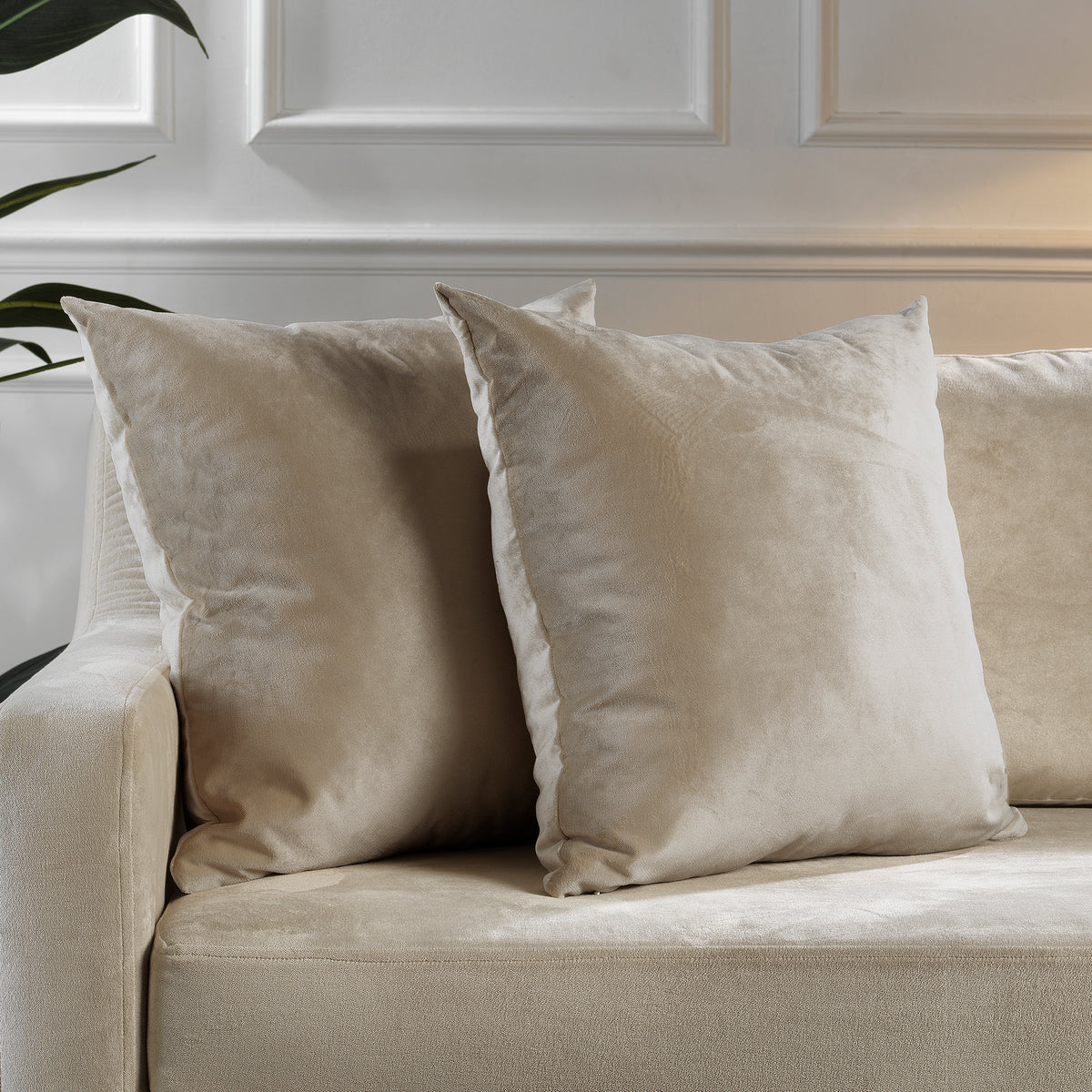Matte velvet cushion covers, matte velvet pillow covers, hidden zipper cushion covers, velvet throw pillow covers, decorative cushion covers, luxury pillow covers, soft velvet cushion covers, sofa pillow covers, couch cushion covers, bedroom pillow covers, living room décor, modern home décor, square cushion covers, custom cushion covers, accent pillow covers, velvet home accessories, elegant pillow covers, decorative throw pillows