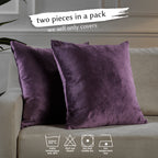 Matte Velvet Cushion Covers Set of 2 Hidden Zipper - Eggplant